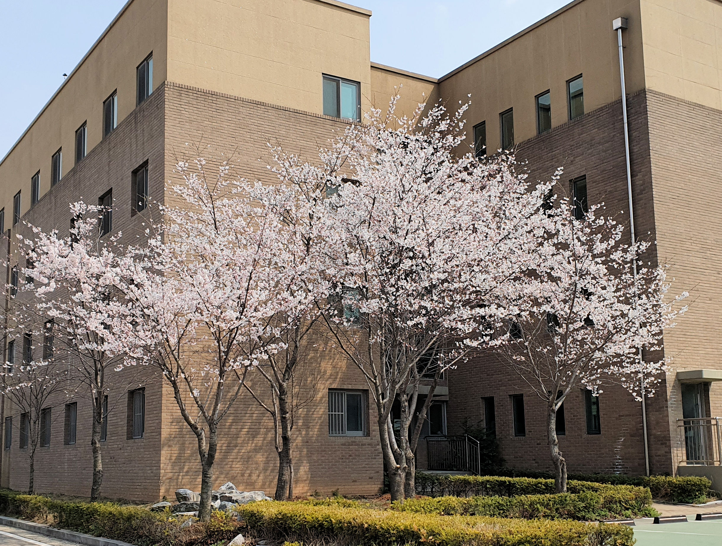 Cheongna Dalton School